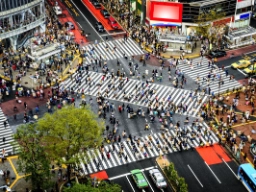Den berømte fotgjengerovergangen i Shibuya-distriktet