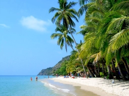 Den hvite stranden og de mange palmene ved Koh Chang