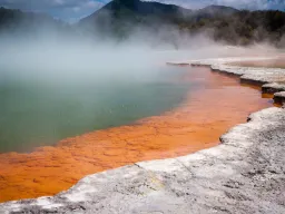 Campagne Pool - geotermiske fenomener i Rotorua