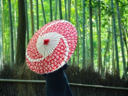 Bambusskog i Arashiyama