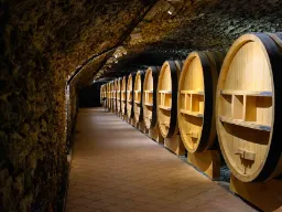 Vinfat i kjelleren i Châteauneuf-du-Pape