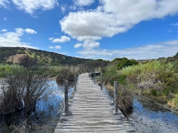 Tower Hill naturreservat er en gammel vulkansk kratersjø