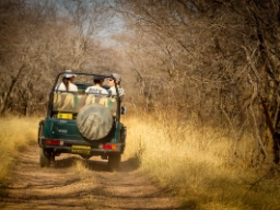 Ranthambore nasjonalpark
