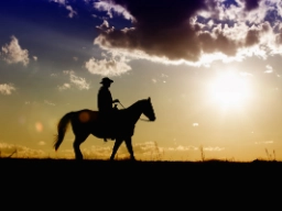 Ensom cowboy