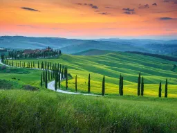 Sypressar langs svingete vei i solnedgang