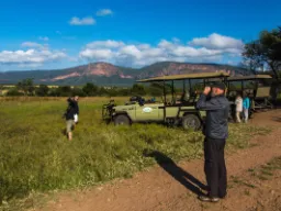 Kikkert-titting Kikkert-titting