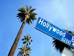 Los Angeles er USAs nest største by