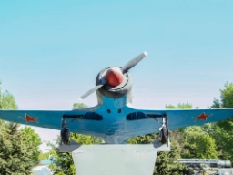 Kamikaze-fly