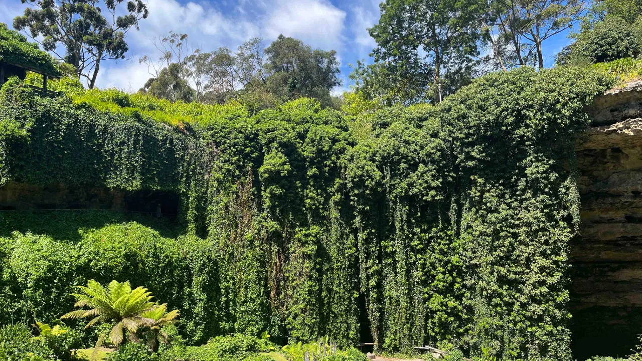 Umpherston Sinkhole, også kjent som Sunken Garden, i Mount Gambier