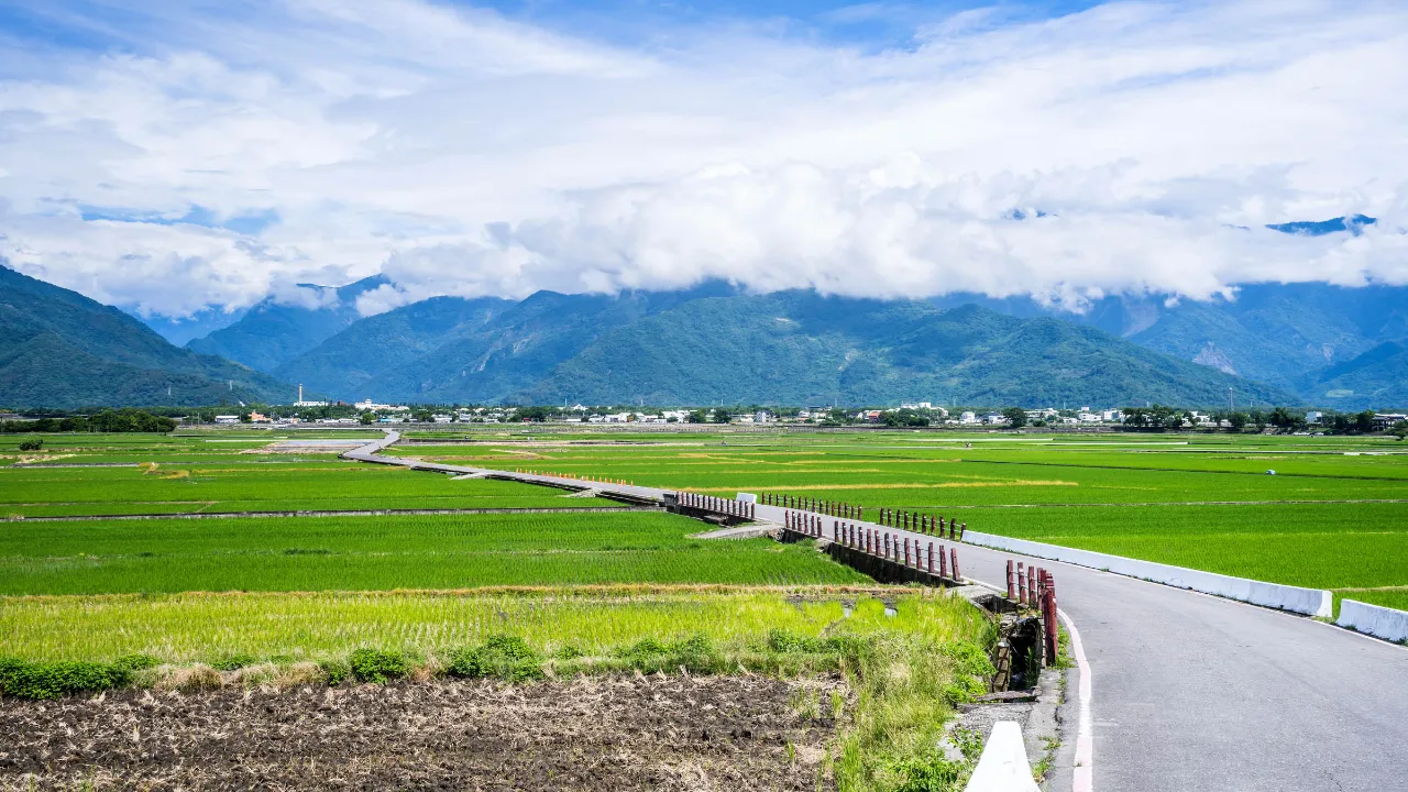 Fra Chishang i Taitung-provinsen
