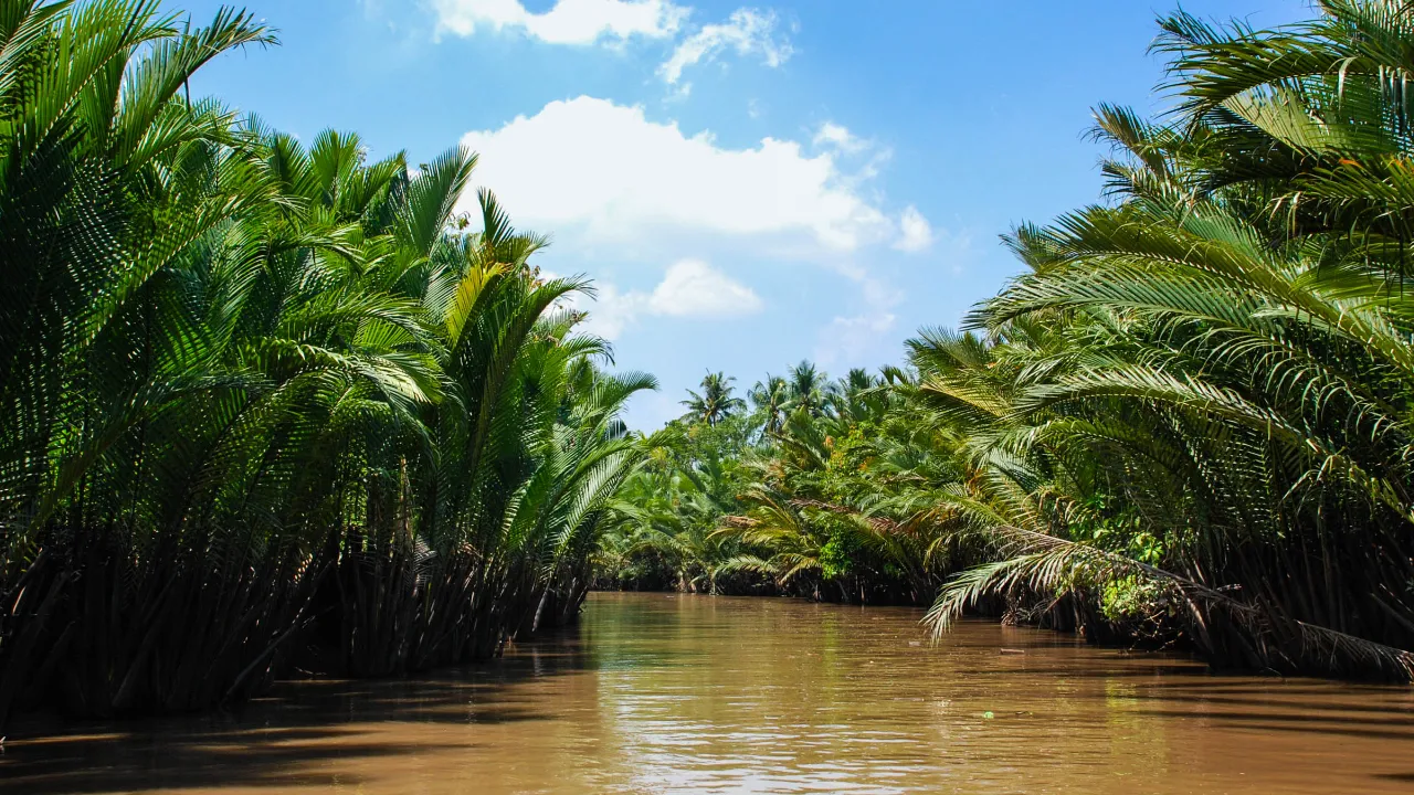 Elvelandskap i Mekong-deltaet
