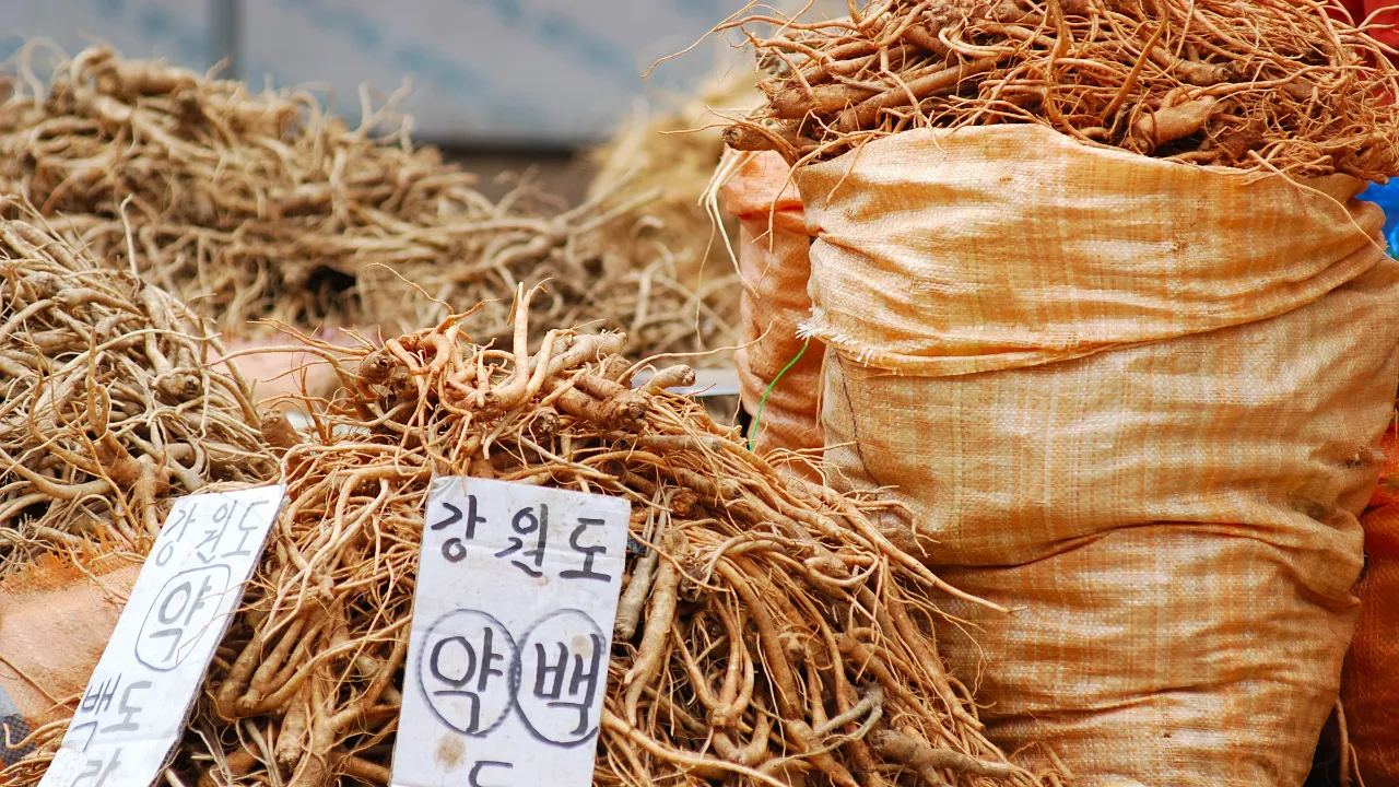 Ginseng til salgs på et marked i Sør-Korea Ginseng til salgs på et marked i Sør-Korea