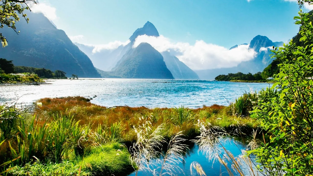 Milford Sound i Fiordland nasjonalpark med Mitre Peak i bakgrunnen
