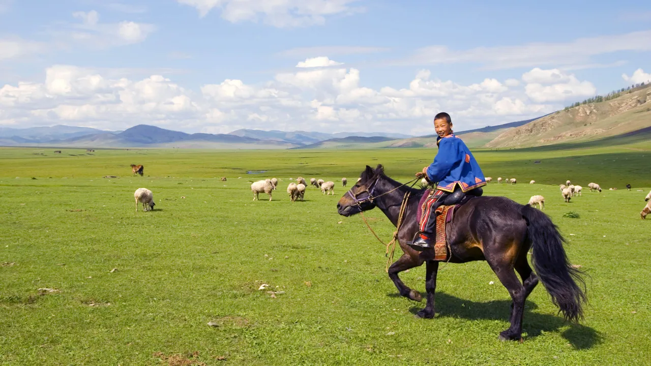 Hesten har en sentral rolle i mongolsk kultur – Mongolia kalles ofte "landet med de mange hestene" Hesten har en sentral rolle i mongolsk kultur – Mongolia kalles ofte "landet med de mange hestene"