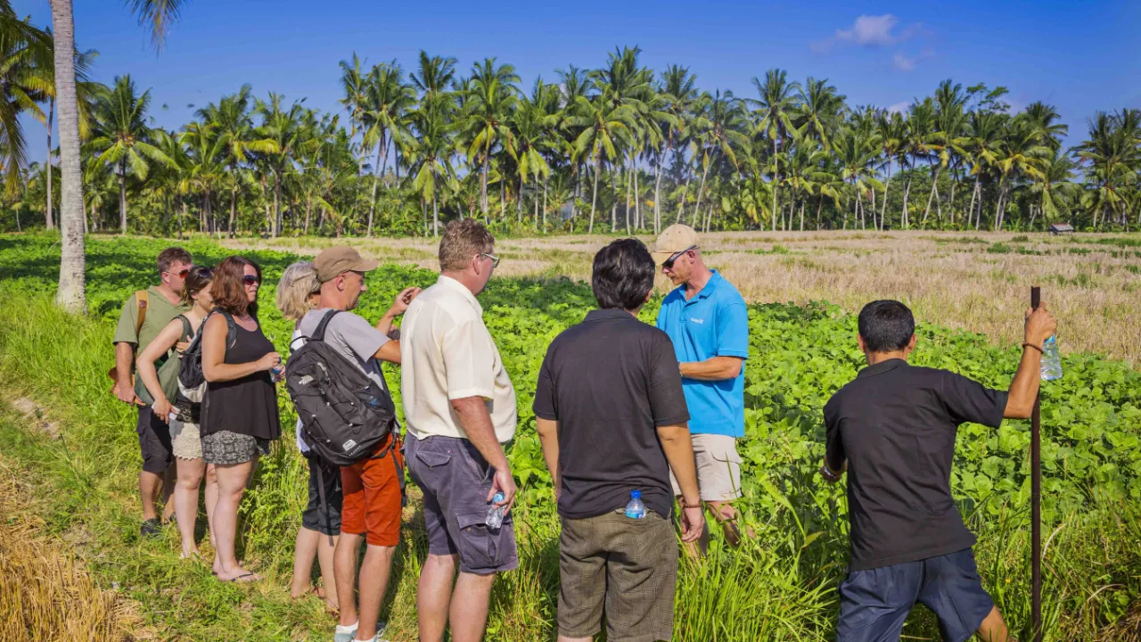 Guidet fottur gjennom rismarkene ved Ubud Guidet fottur gjennom rismarkene ved Ubud