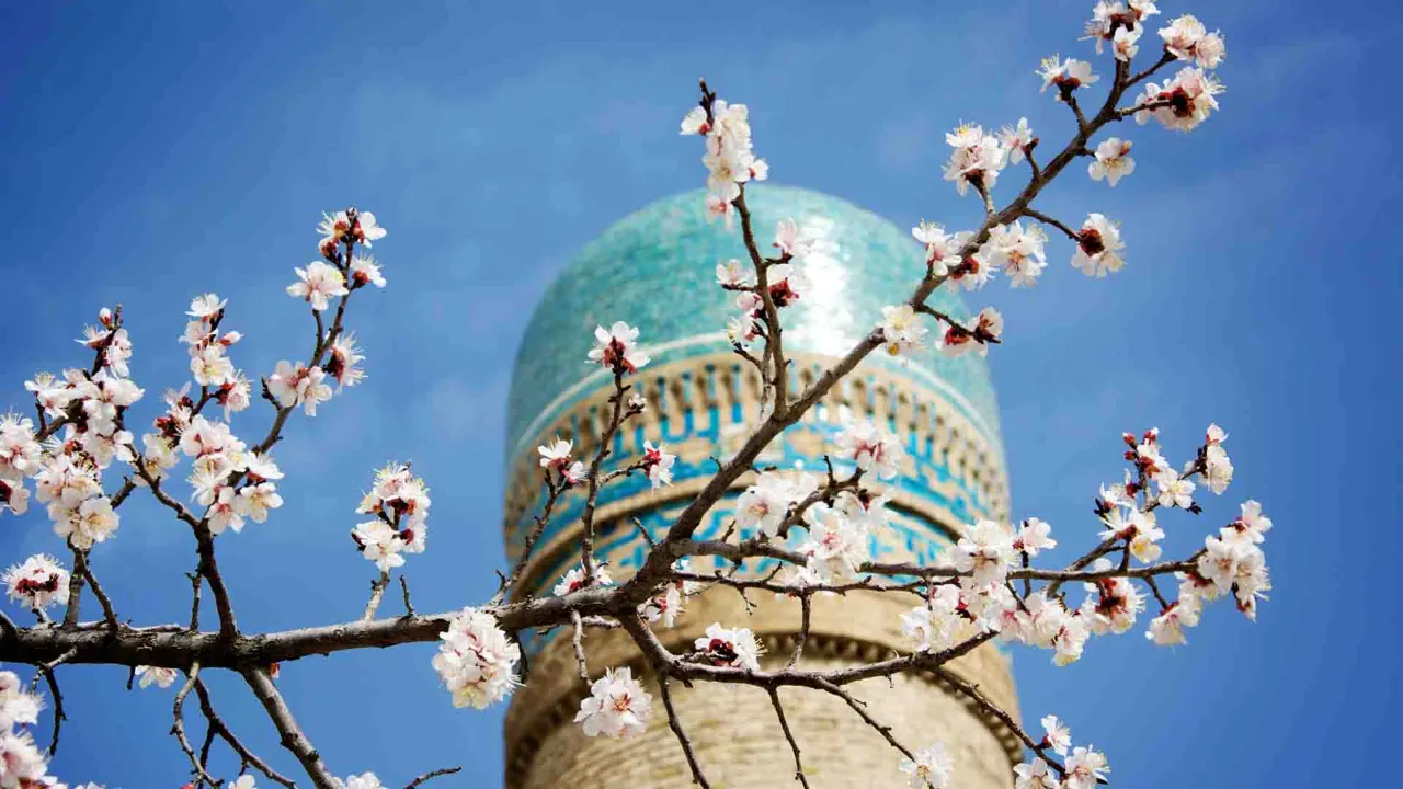 Minaret med turkisblå flisedekorasjoner i Bukhara, Usbekistan Minaret med turkisblå flisedekorasjoner i Bukhara, Usbekistan