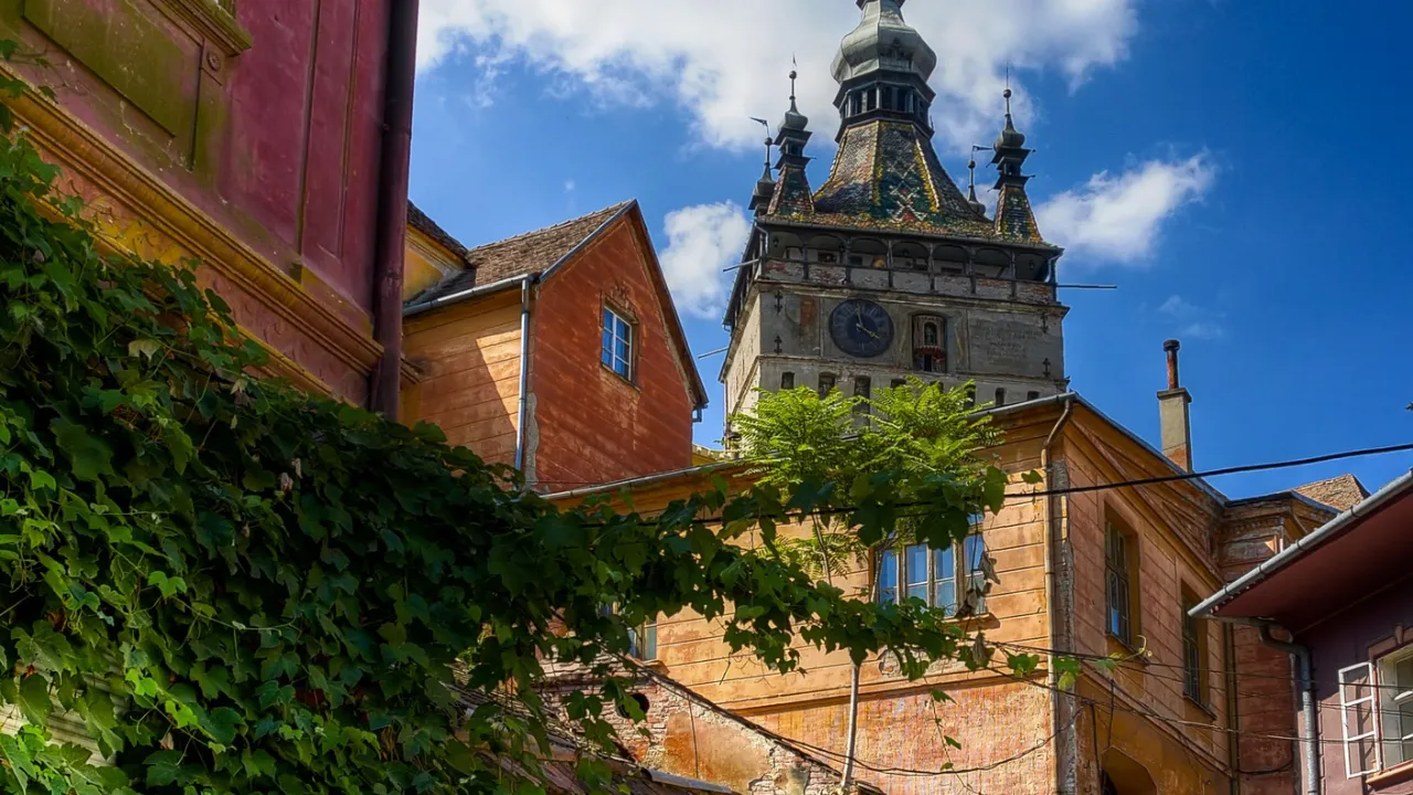 Brosteinsbelagt gate i Sighișoara med utsikt til det ikoniske klokketårnet