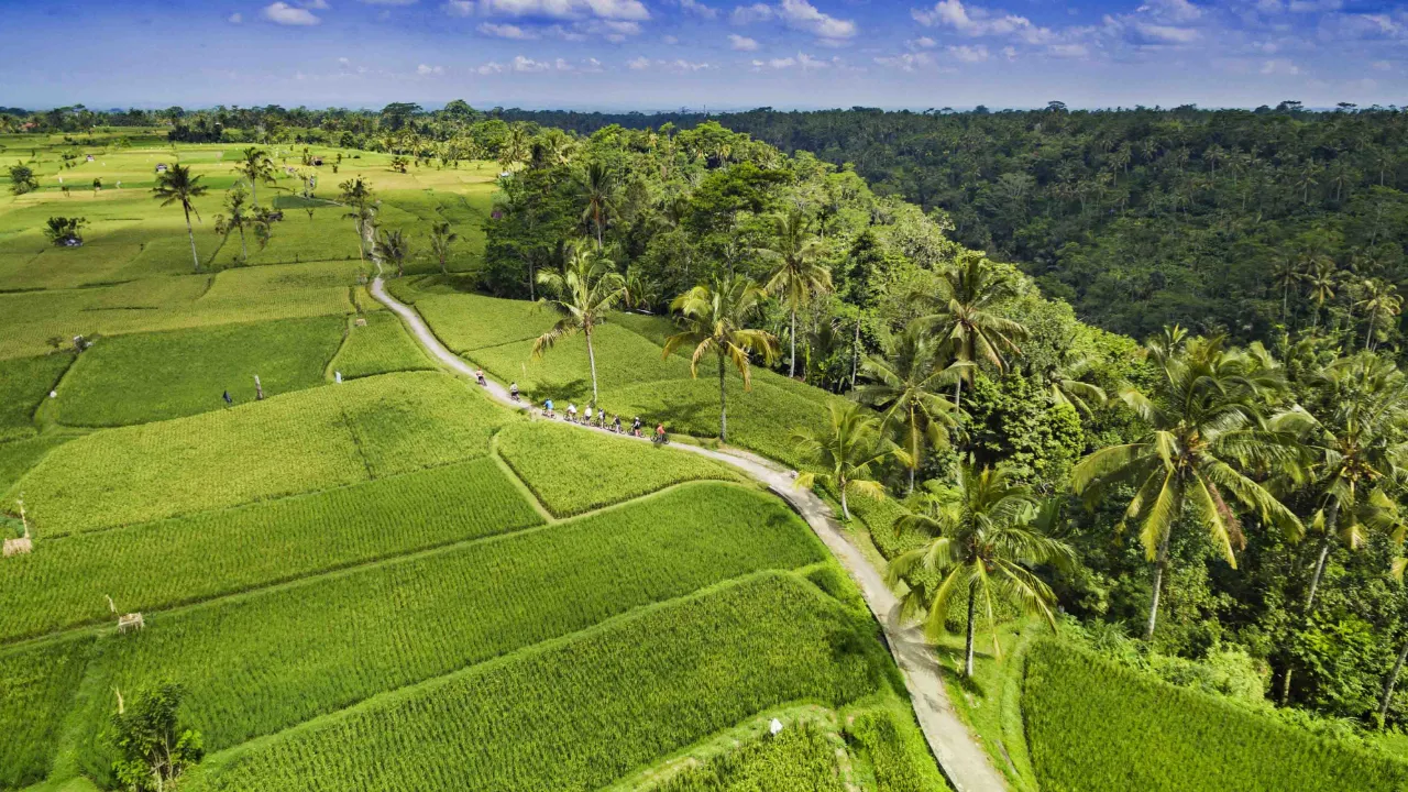 På sykkeltur gjennom rismarkene rundt Ubud På sykkeltur gjennom rismarkene rundt Ubud