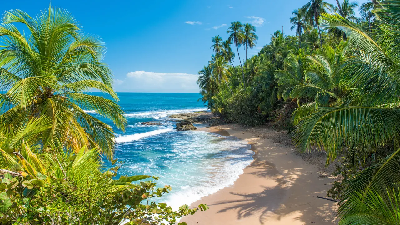 Uberørt sandstrand ved Puerto Viejo