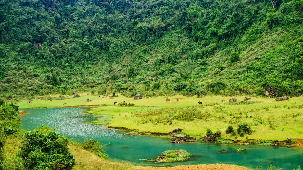 Phoung Nha nasjonalpark