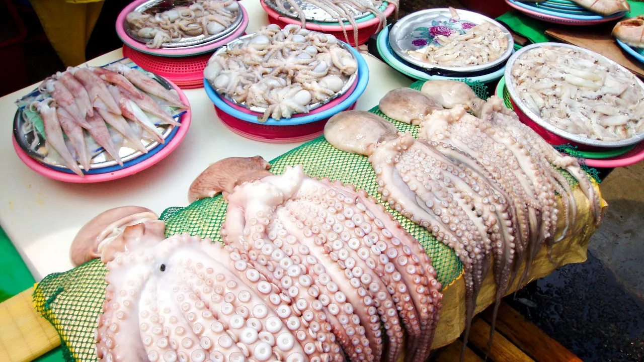 Jagalchi Market i Busan er kjent for sitt store utvalg av havets delikatesser Jagalchi Market i Busan er kjent for sitt store utvalg av havets delikatesser