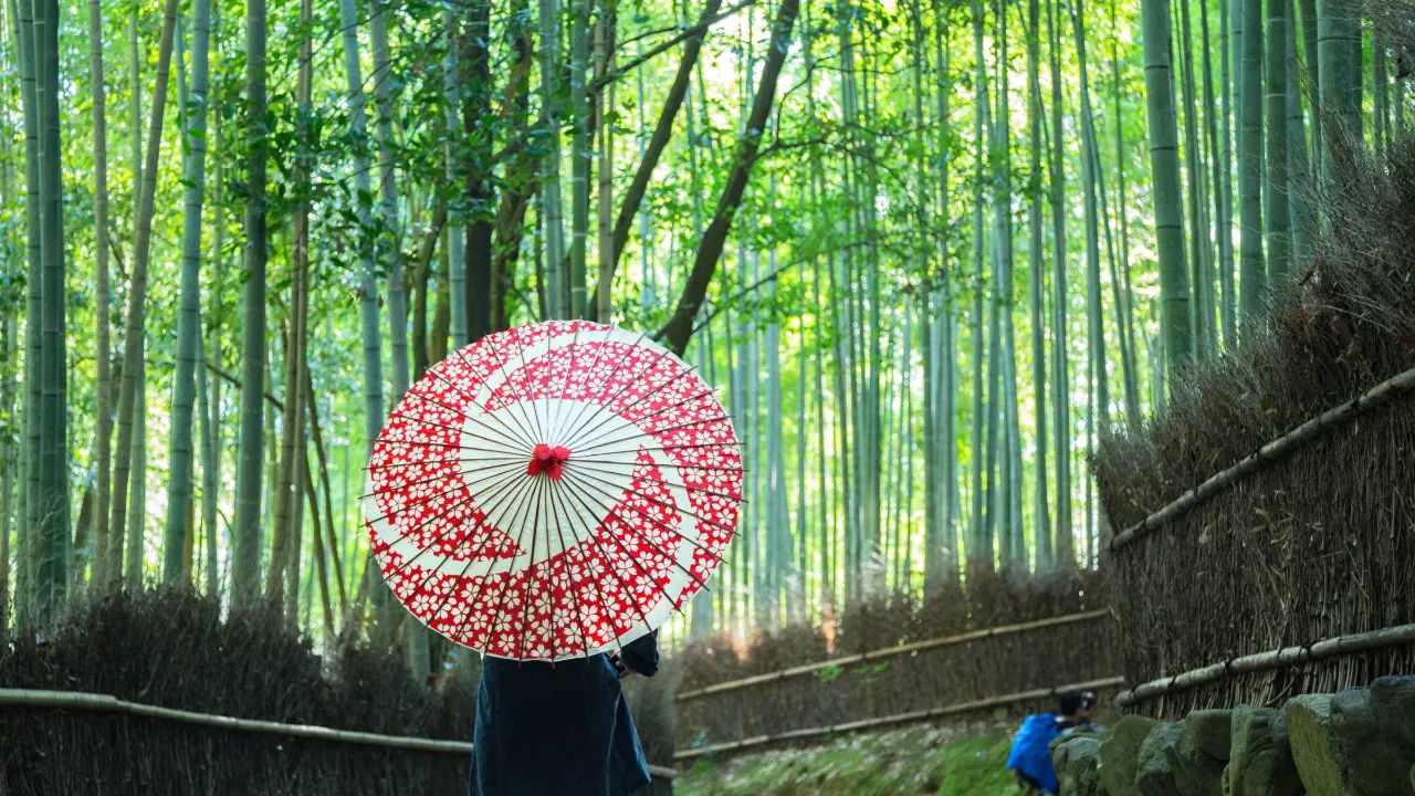 Bambusskogen i Arashiyama, Kyoto Bambusskogen i Arashiyama, Kyoto