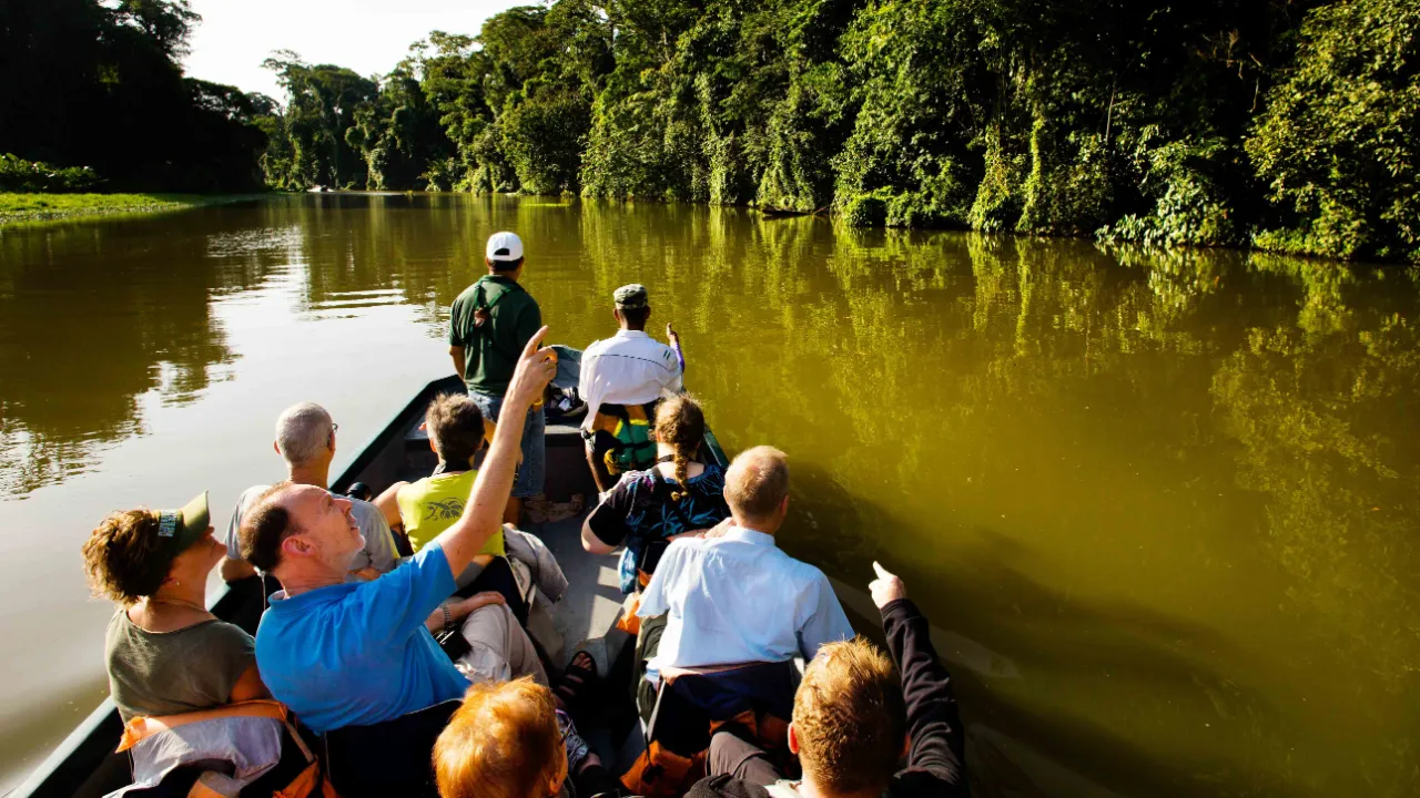 Båttur gjennom de rolige kanalene i Tortuguero nasjonalpark, Costa Rica Båttur gjennom de rolige kanalene i Tortuguero nasjonalpark, Costa Rica