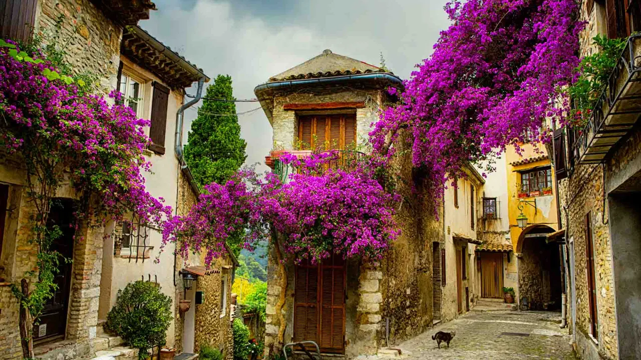 Provence – middelalderlandsby med bougainvillea Provence – middelalderlandsby med bougainvillea