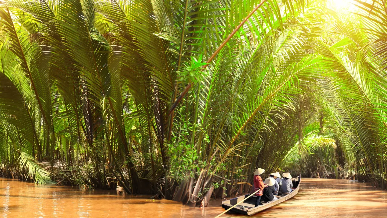 Båttur gjennom frodig palmeskog i Mekongdeltaet