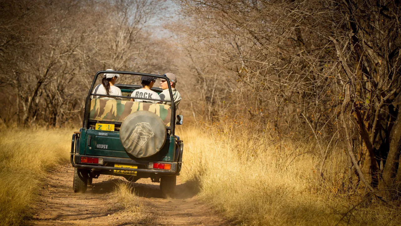 Ranthambore nasjonalpark Ranthambore nasjonalpark