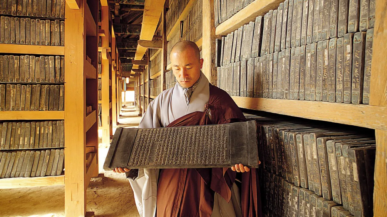 Buddhistisk munk studerer gamle treblokker med buddhistiske skrifter Buddhistisk munk studerer gamle treblokker med buddhistiske skrifter