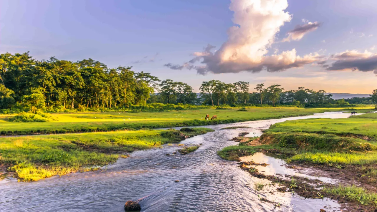 Chitwan nasjonalpark – i Nepals frodige lavland